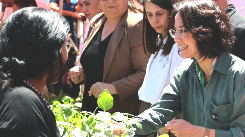 Belediye Ücretsiz Dağıttı, Duyan Sıraya Girdi! Uzun Kuyruklar Oluştu - Resim: 3