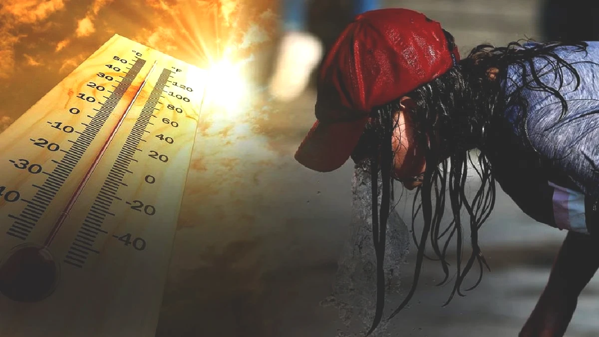 Dünya Meteoroloji Örgütü uyardı! Küresel sıcaklık alarmına dikkat: 5 yıl boyunca zirve yapacak!
