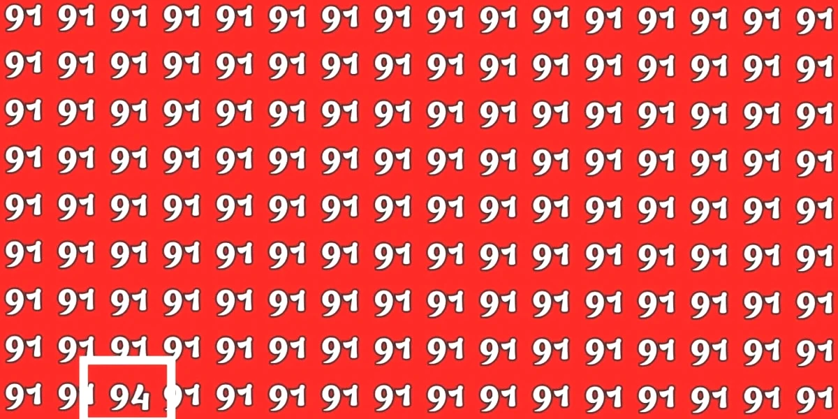 91-test-yanit.jpg