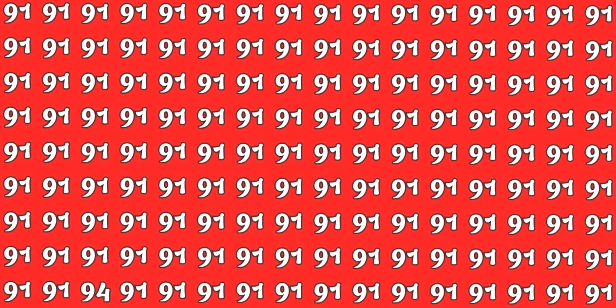 91-test.jpg